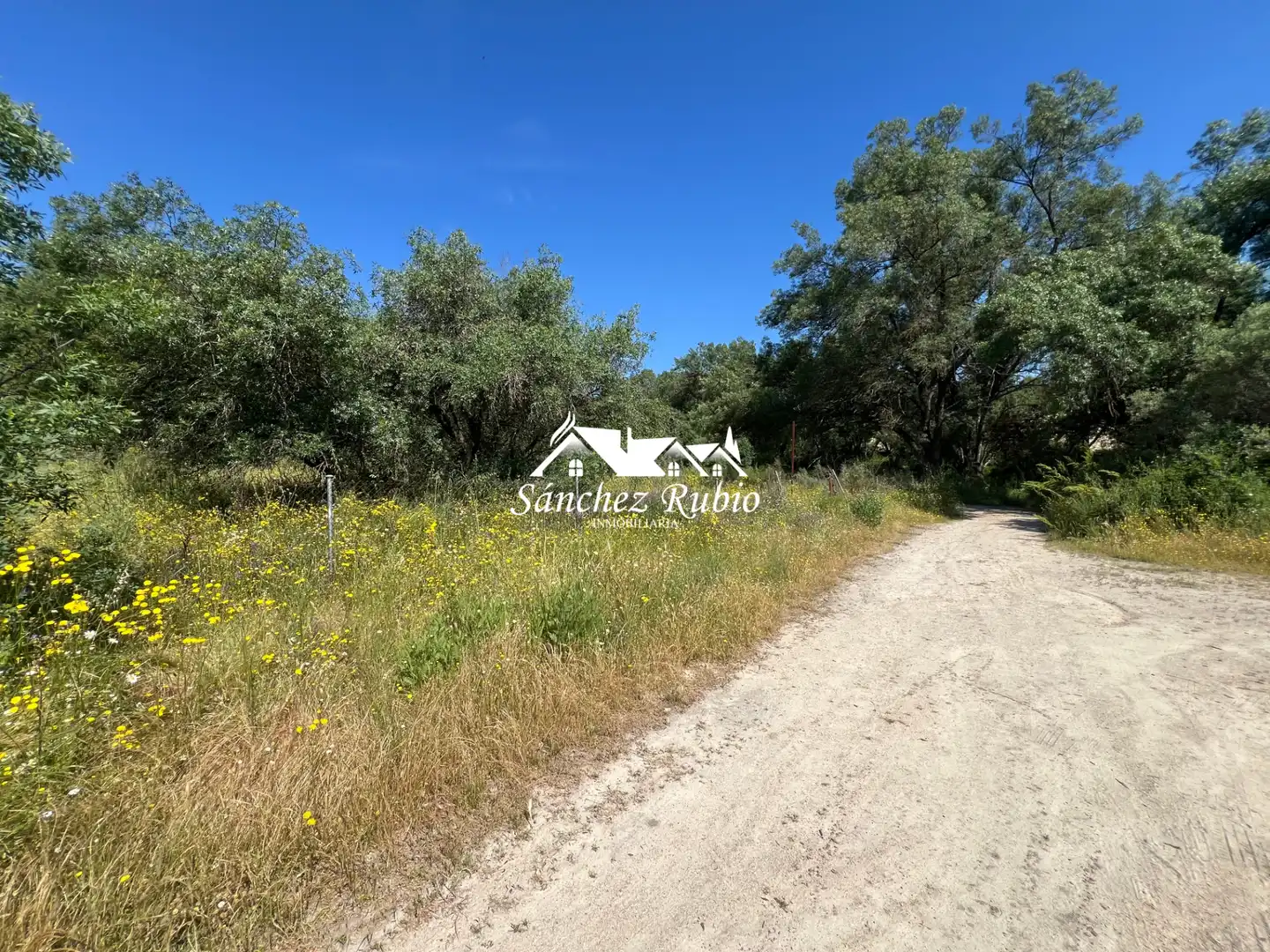 Terreno residencial en venta en Las Matas  - Peñascales, imagen 8