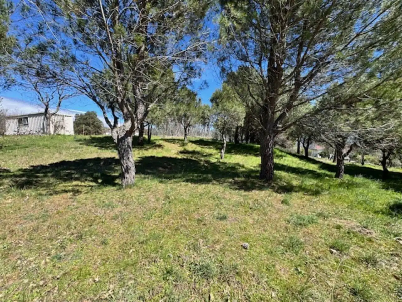Terreny residencial en venda a Calle La Jara, imagen 4