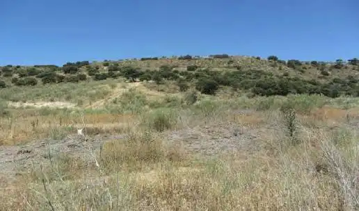 Terreni e lotti in vendita a Atarfe
