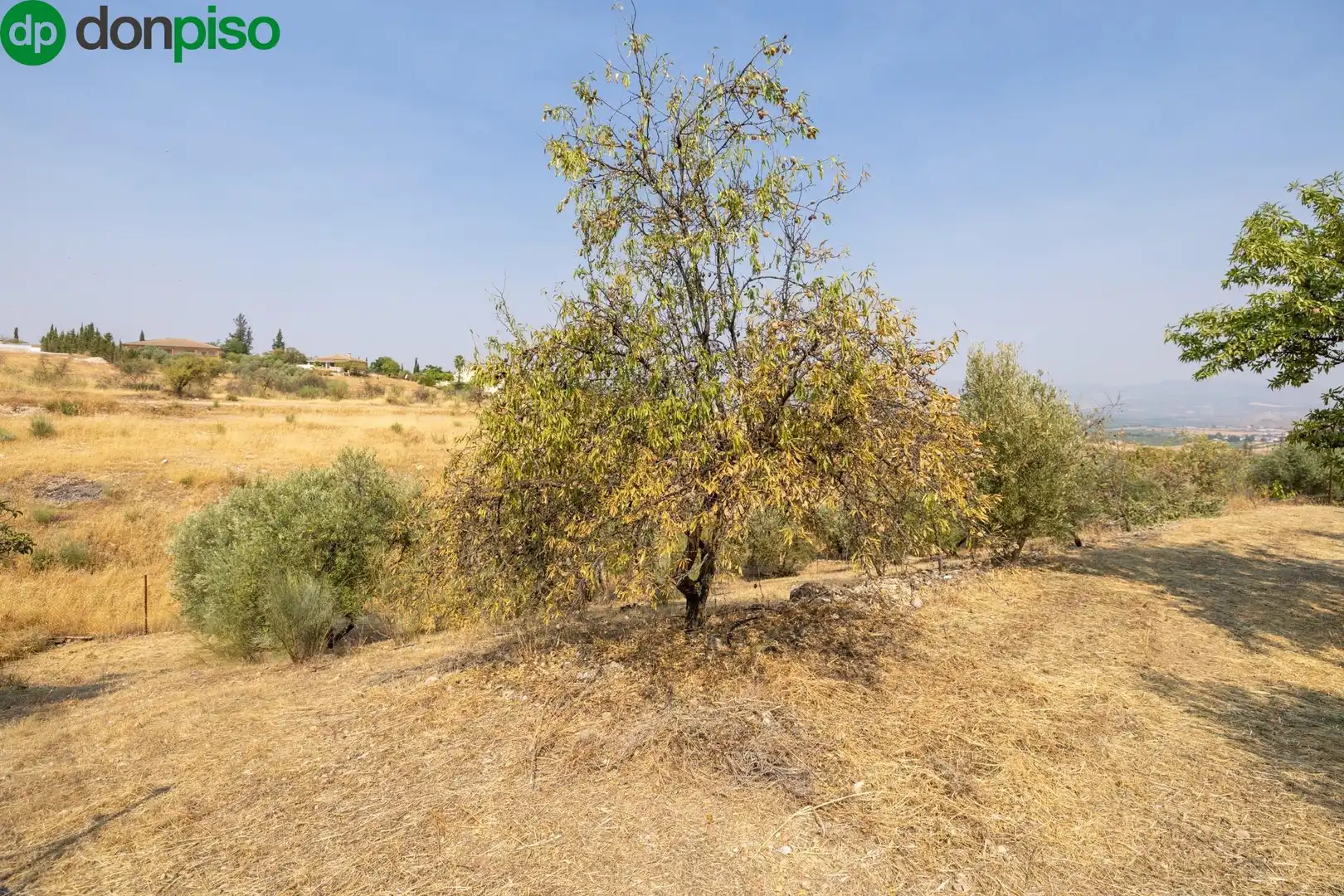 Finca rústica en venda a Calle de Moraleda a Cómpeta, Moraleda de Zafayona
