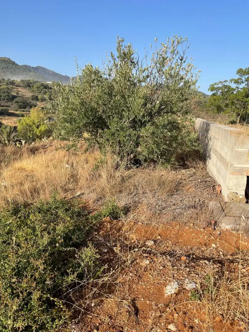 Terreni e lotti in vendita a Coín, imagen 14