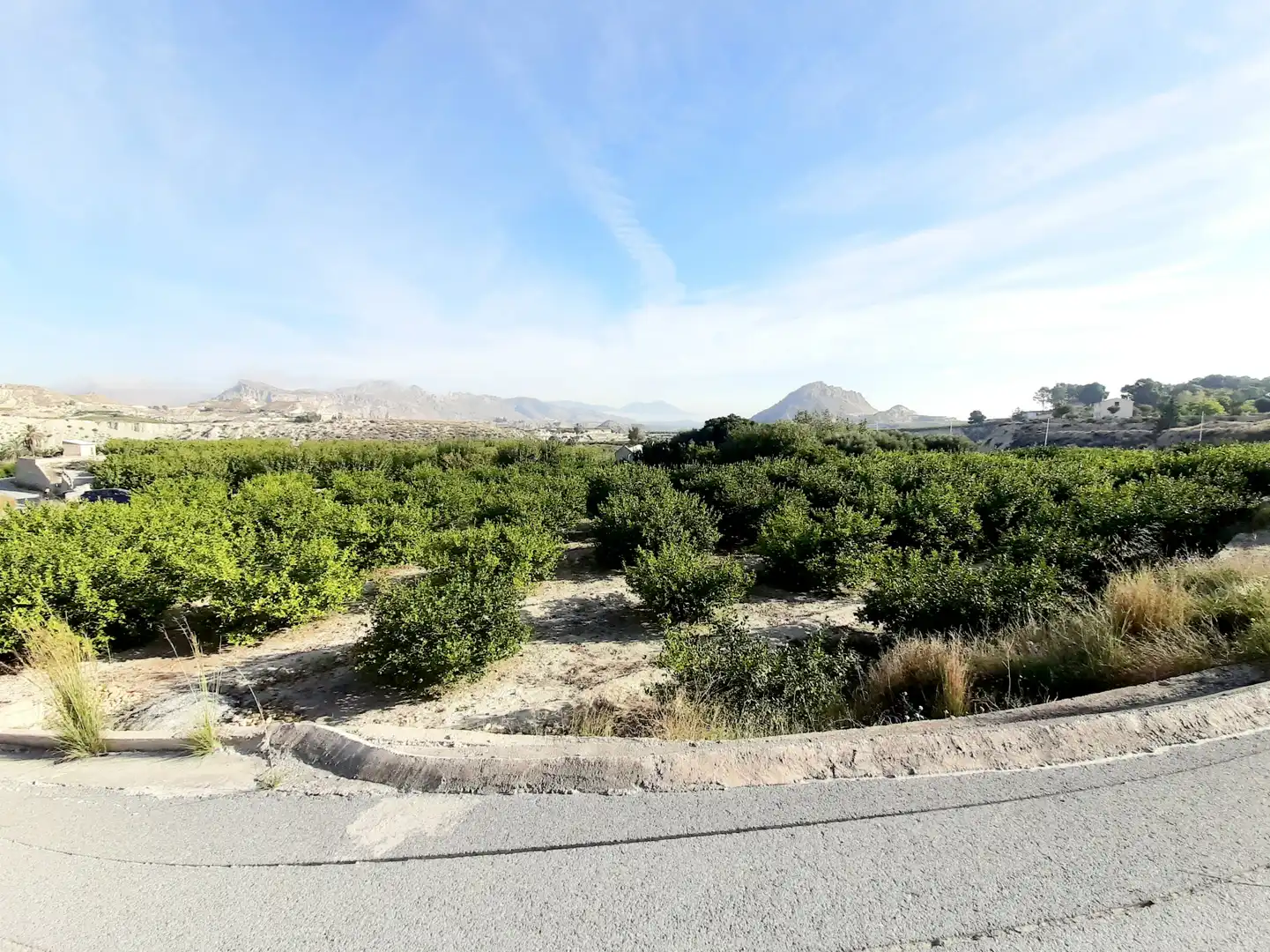 Rural land for sale in Ojós, imagen 5