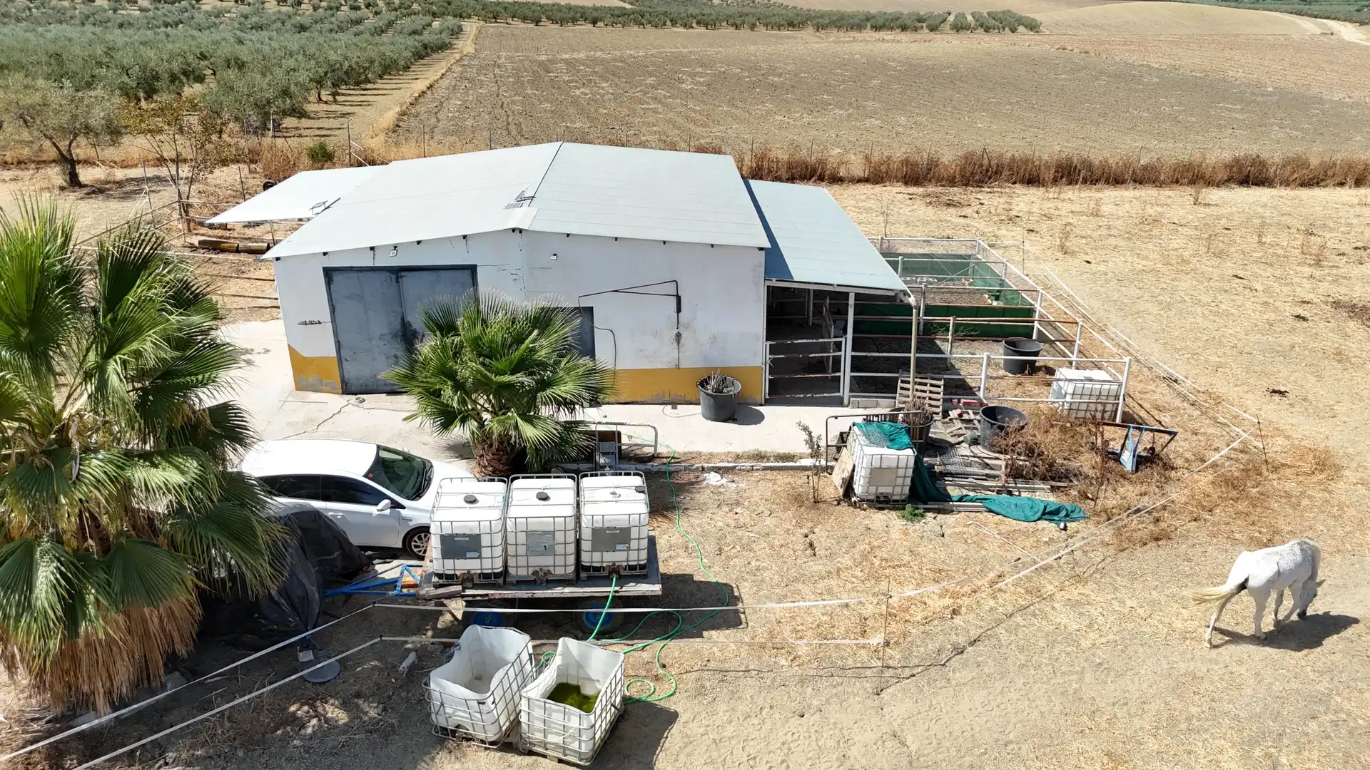 Rural land for sale in Polígono 12 Parcela 177 LA CORIANA. OLIVARES (SEV, imagen 13