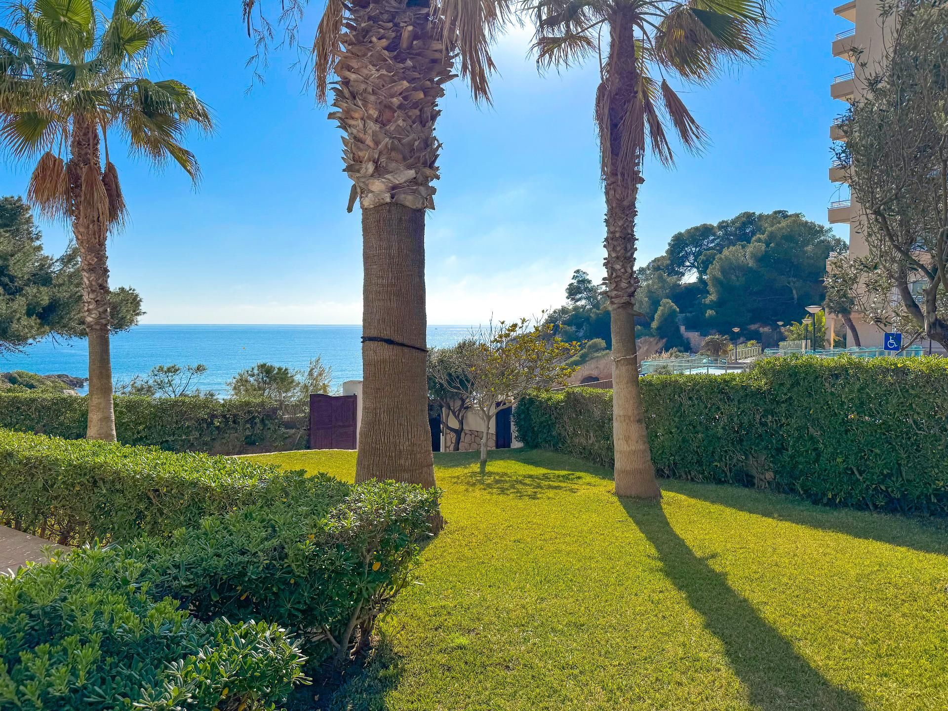 Jardí de Casa o xalet en venda en Salou amb Jardí privat, Terrassa i Traster