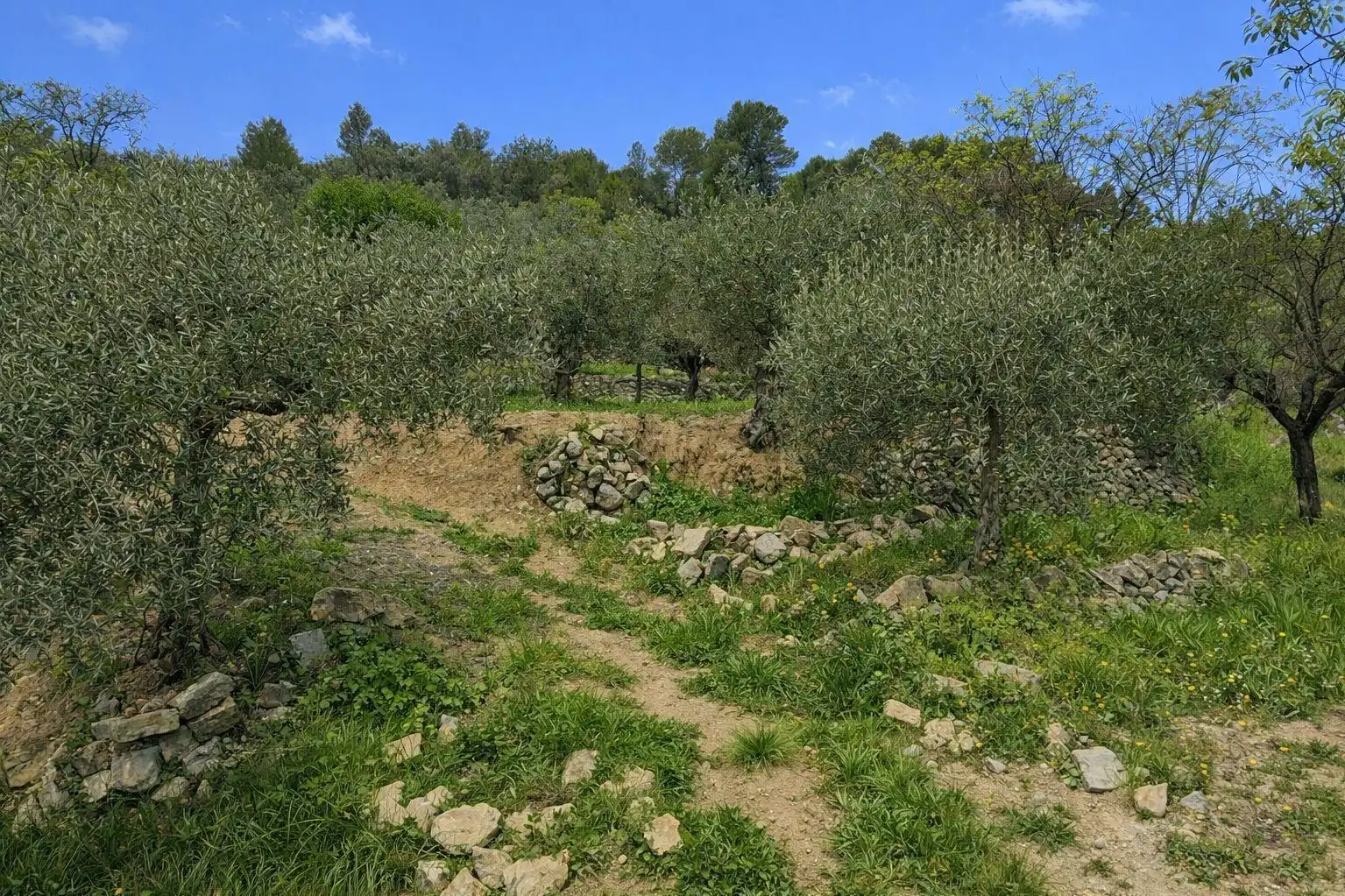 Land for sale in Castell de Castells