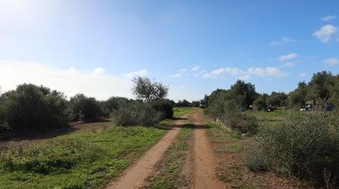 Photo 2 of Residential for sale in Campos poble, Campos