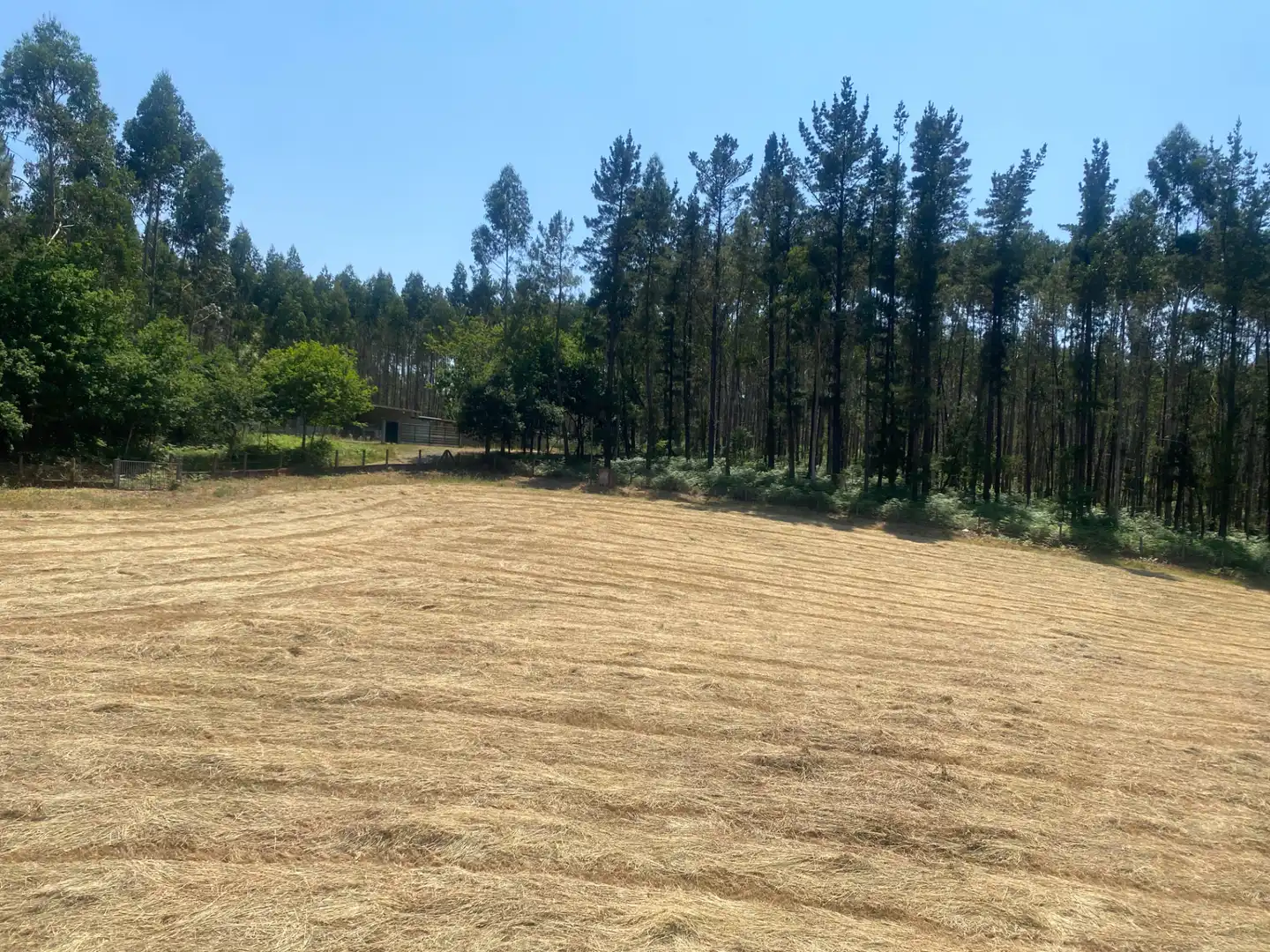 Casa o chalet en venta en Touro con Calefacción, Terraza y Amueblado
