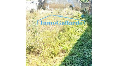 Foto 3 von Geschaftsraum zum Verkauf in Almayate, Vélez-Málaga