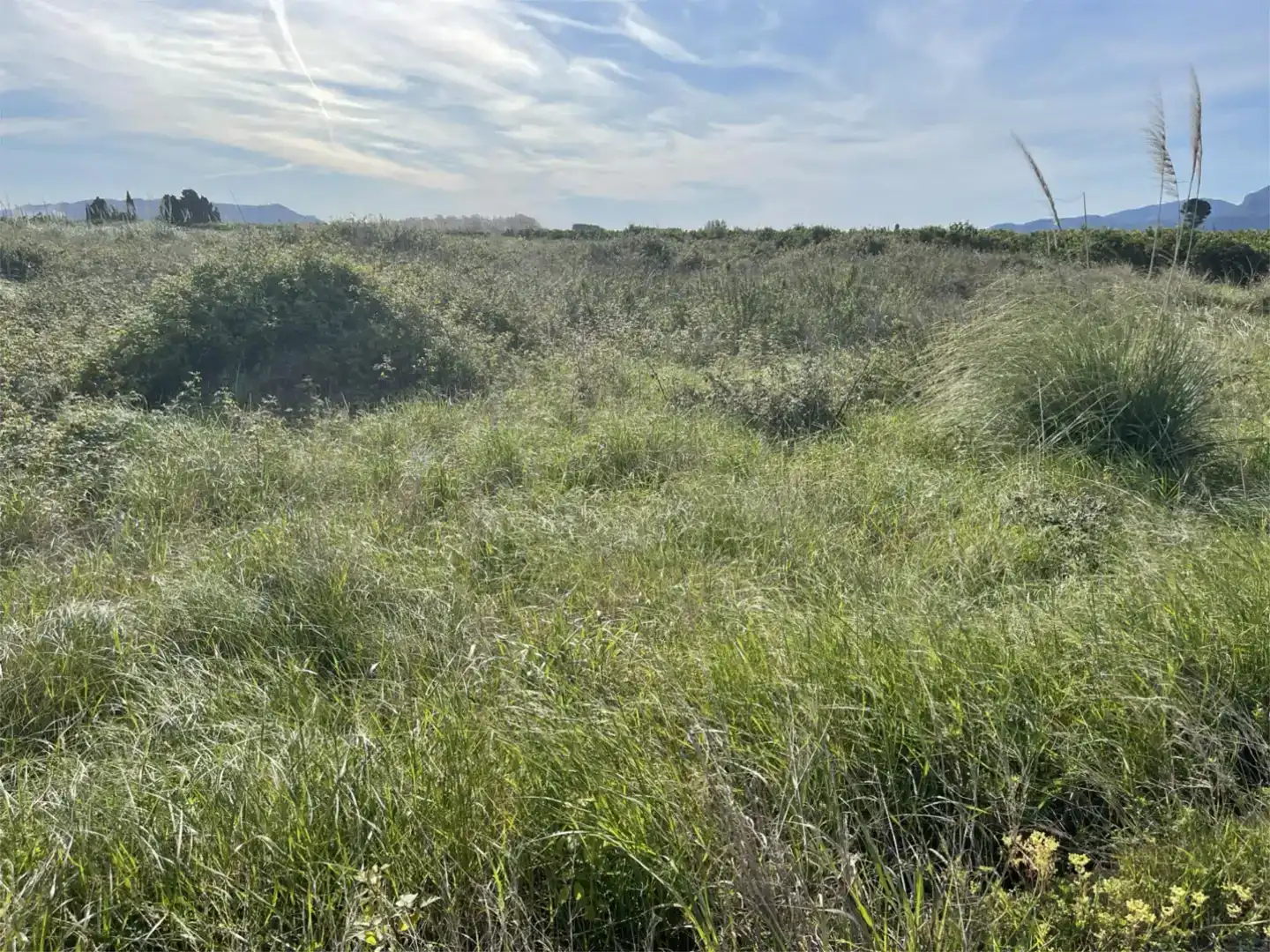 Finca rústica en venta en Polinyà de Xúquer