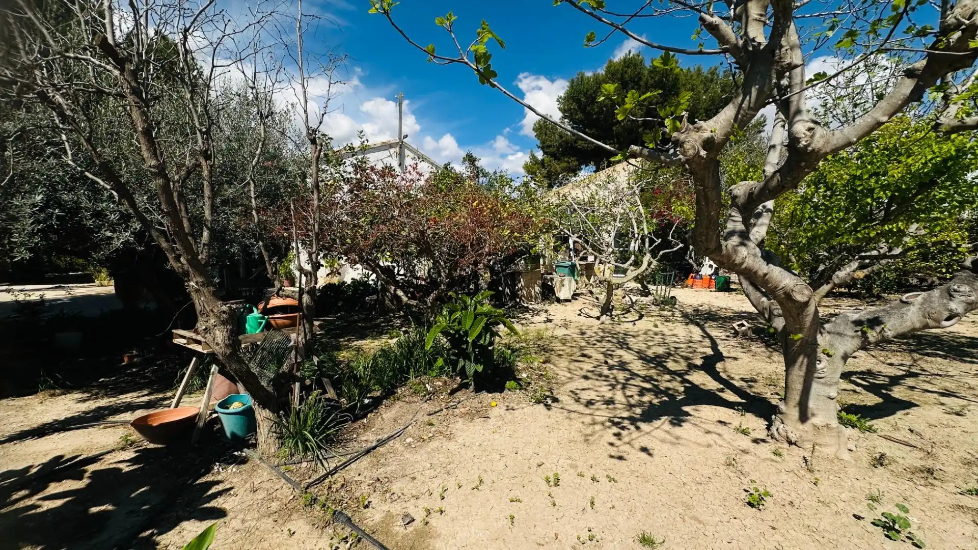 Jardí de Casa o xalet en venda en Elche / Elx amb Jardí privat, Traster i Piscina