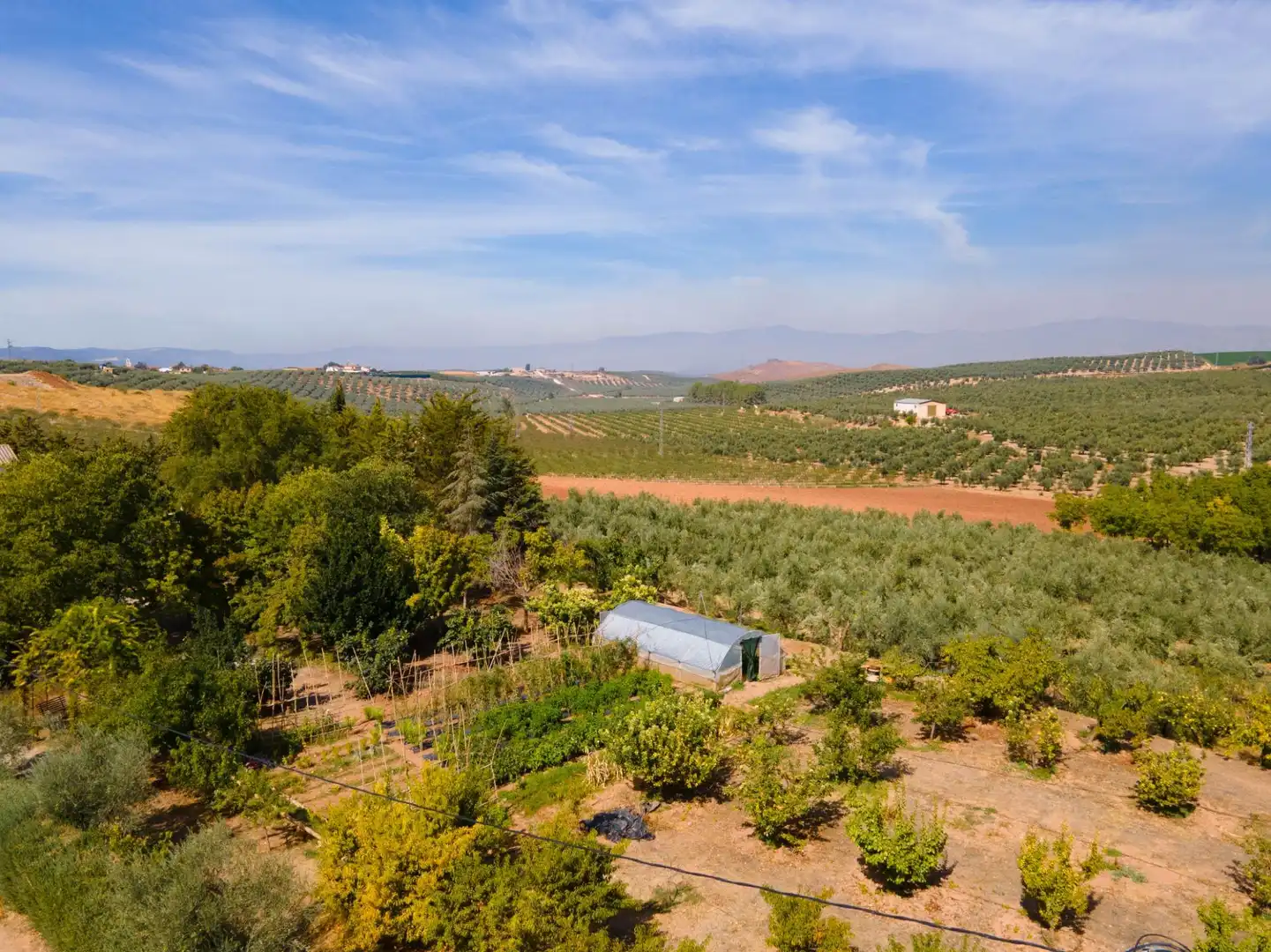 Chalet con piscina en venta en Moraleda de Zafayona, imagen 91