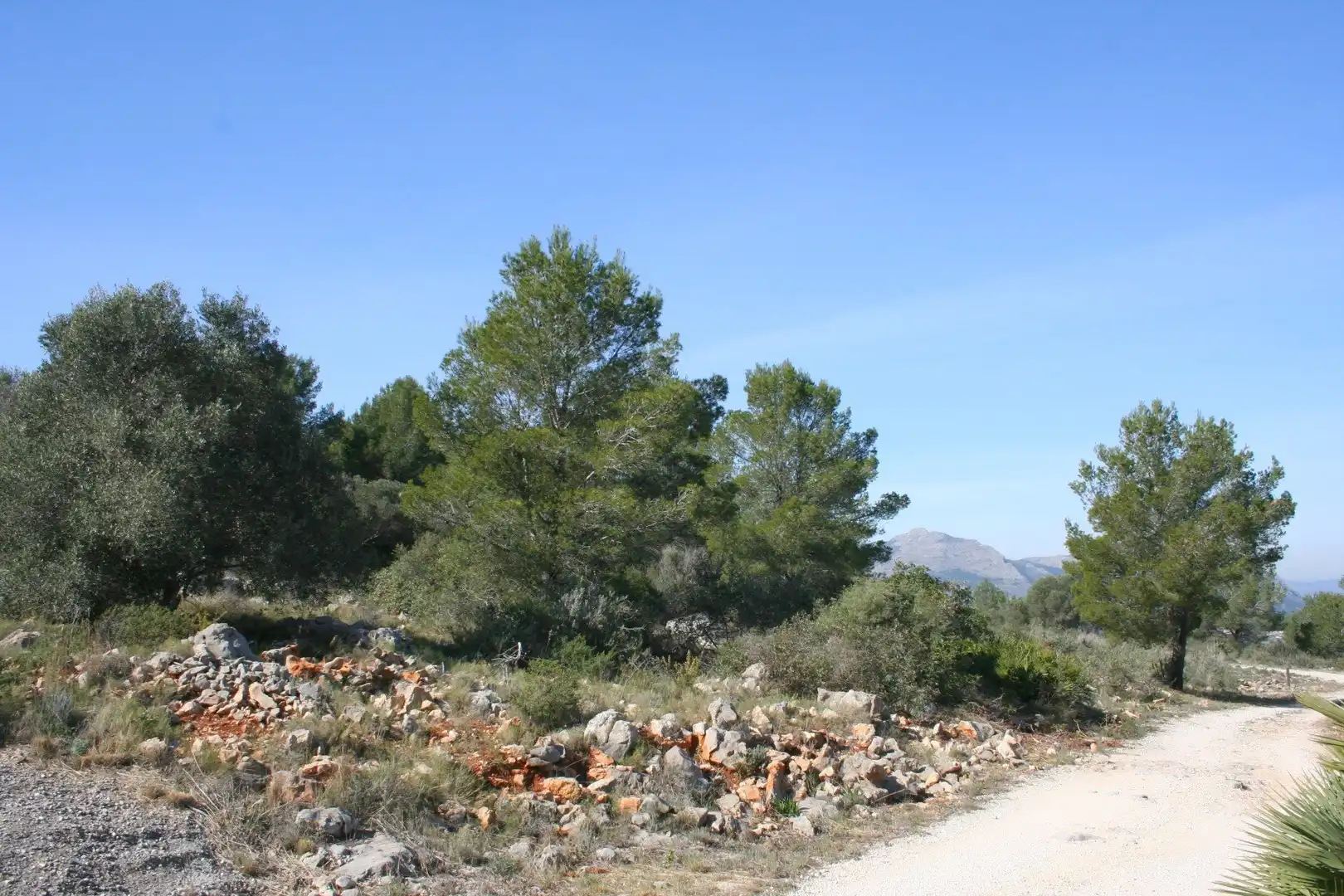 Terreno residencial en venta en Benidoleig, imagen 9