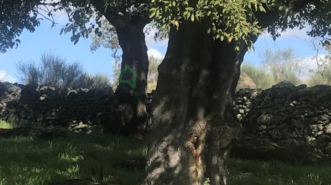 Foto 4 de Casa o chalet en venta en N/a, San Vicente de Alcántara, Badajoz