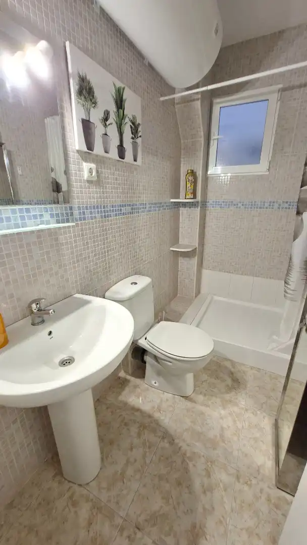 Wohnung mieten mit Kaufoption in Calle Pintor Picasso, Centro