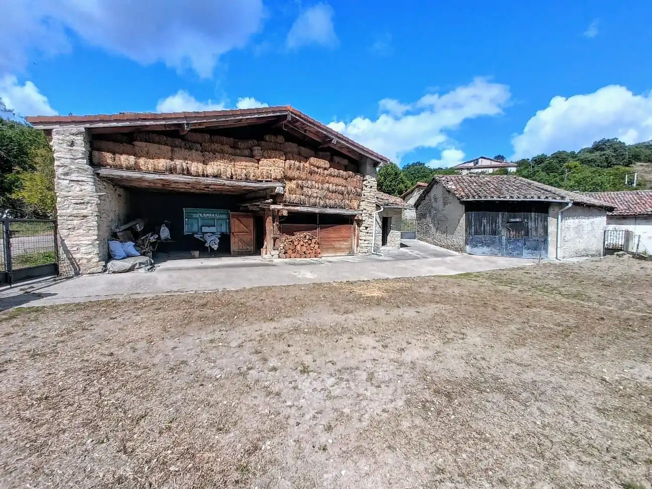Vista exterior de Casa o chalet en venta en Junta de Villalba de Losa con Jardín privado