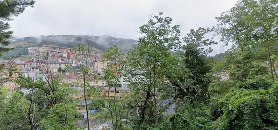 Vista exterior de Casa o xalet en venda en Cangas del Narcea amb Jardí privat