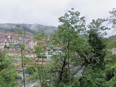 Casa amb jardí en venda a Cangas del Narcea