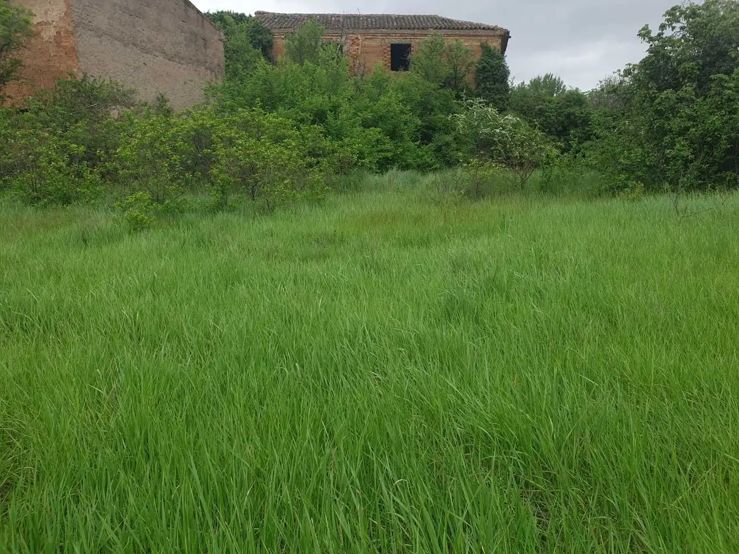 Terreno en venta en Munébrega