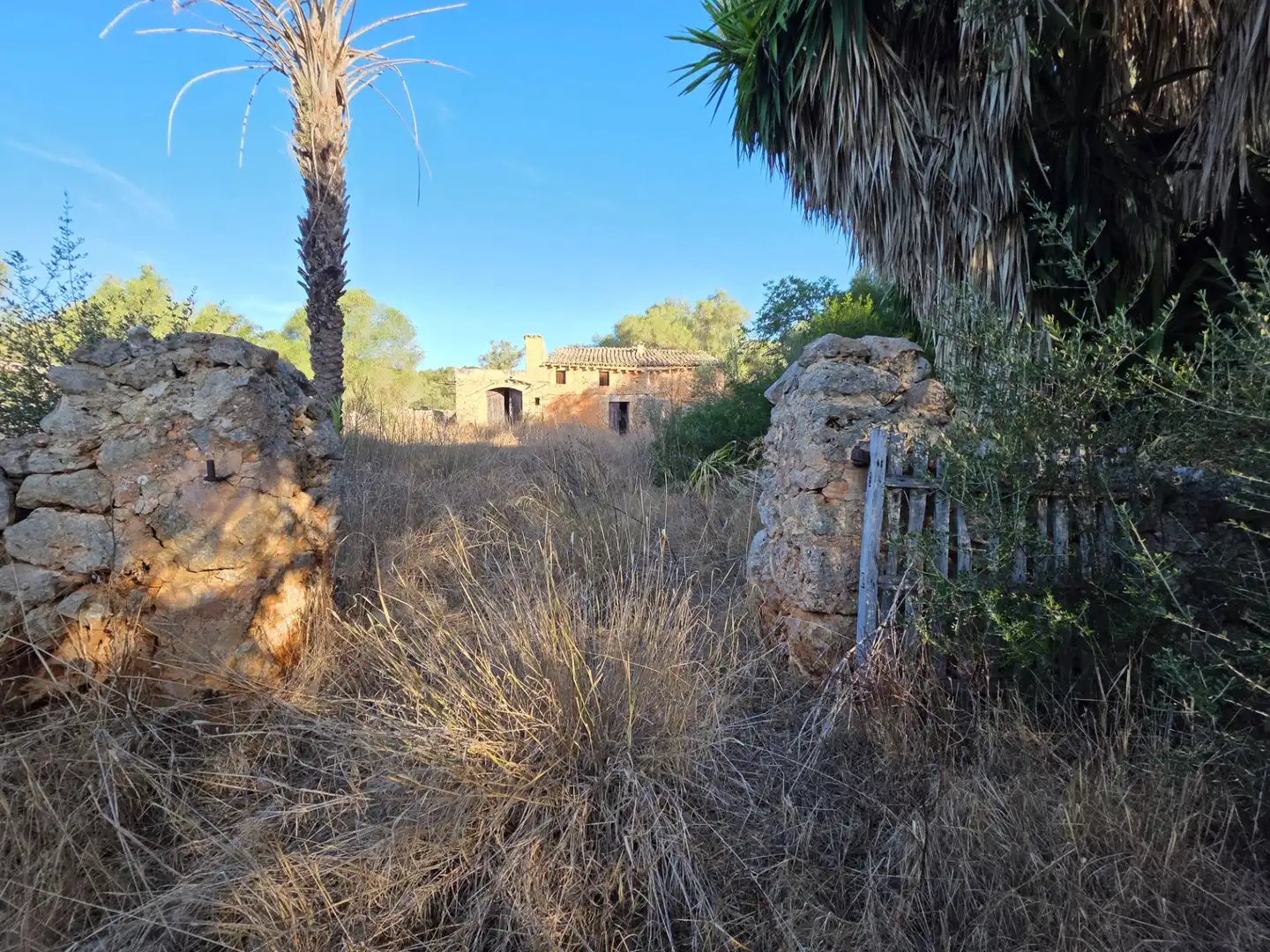 Casa rústica en venda a Costitx, imagen 2
