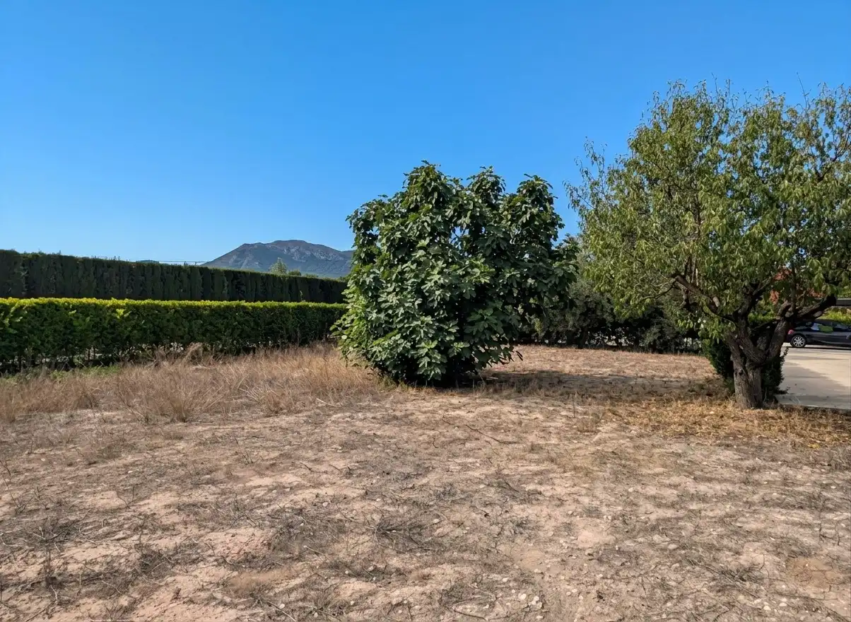 Country homes for sale in Sax, Alicante