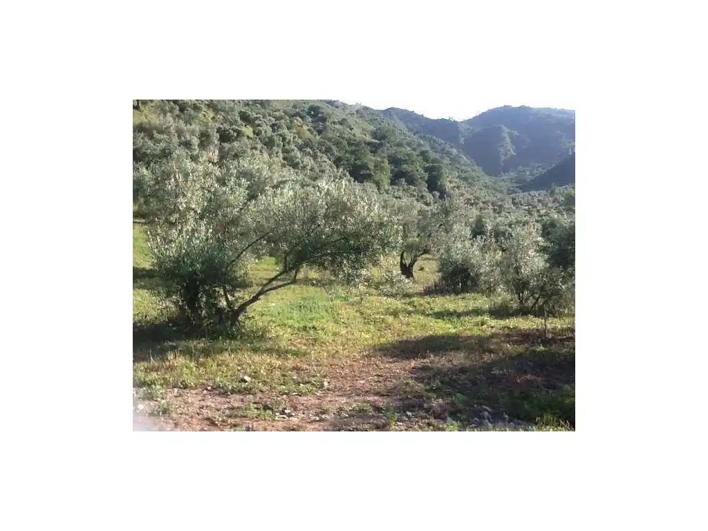 House for sale in Zahara, imagen 10