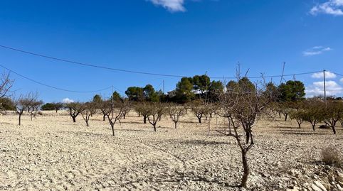 Esta exclusiva parcela de 71.641 m se encuentra en La Copa de Bellas, el paraíso ciclista de España, a 60 km de Murcia capital. Ac, imatge 3