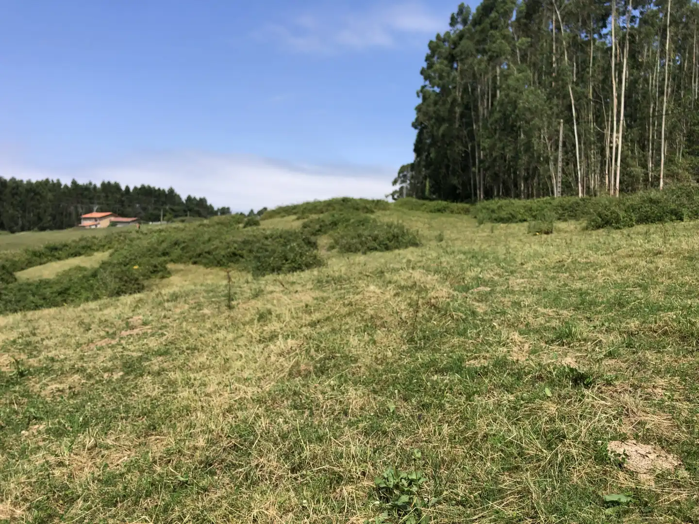 Finca rústica en venta en N/A, -1, Villaescusa (Cantabria)