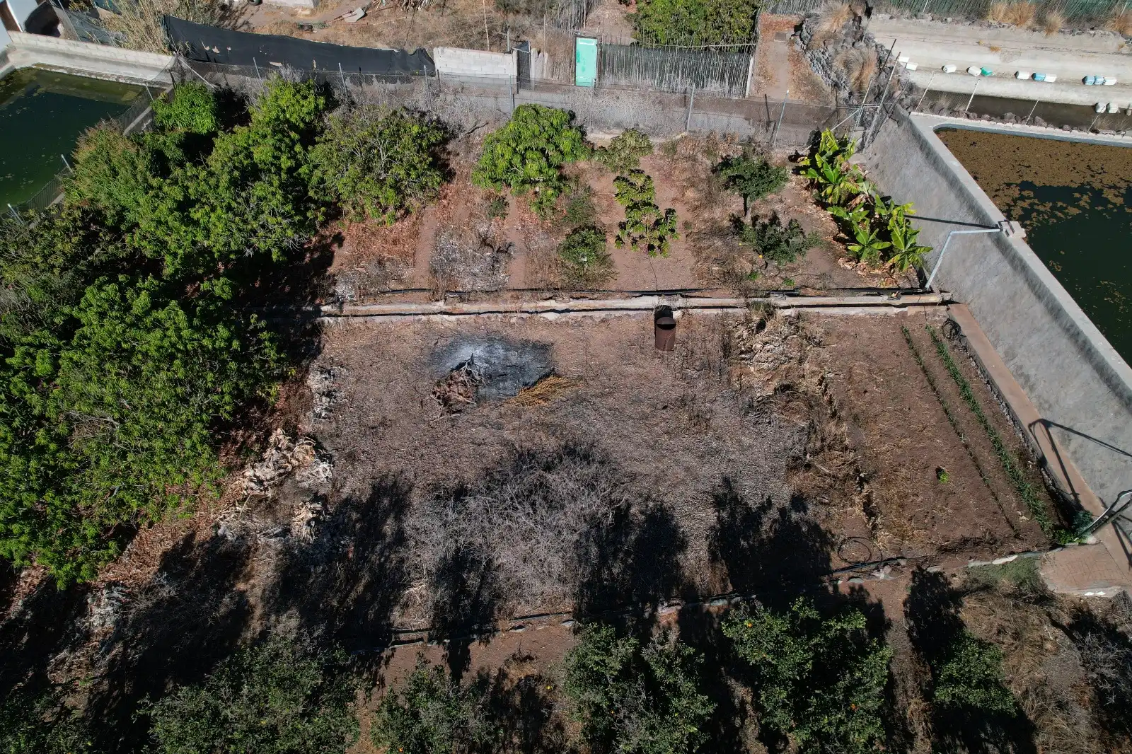 Casa rústica con jardín en venta en La Aldea de San Nicolás, imagen 9