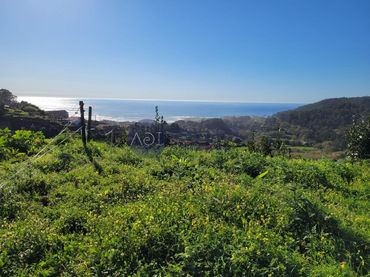Terreny residencial en venda a Oia