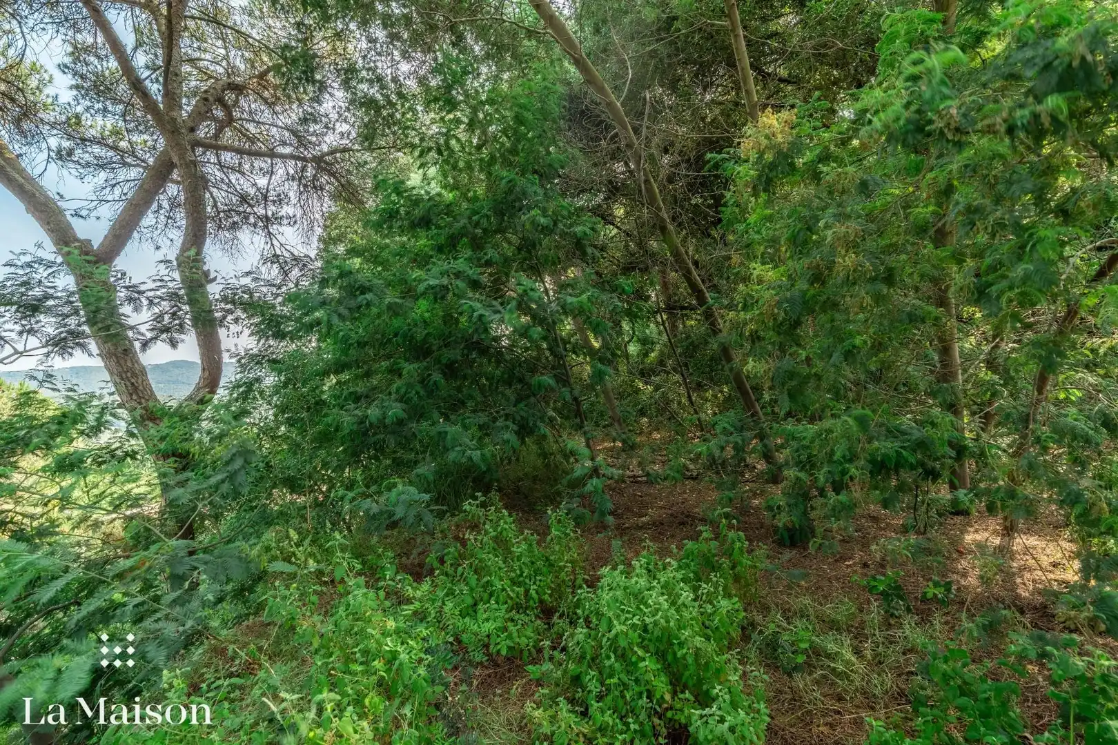 Terreno residenziale in vendita a Can Massuet del Far, imagen 15