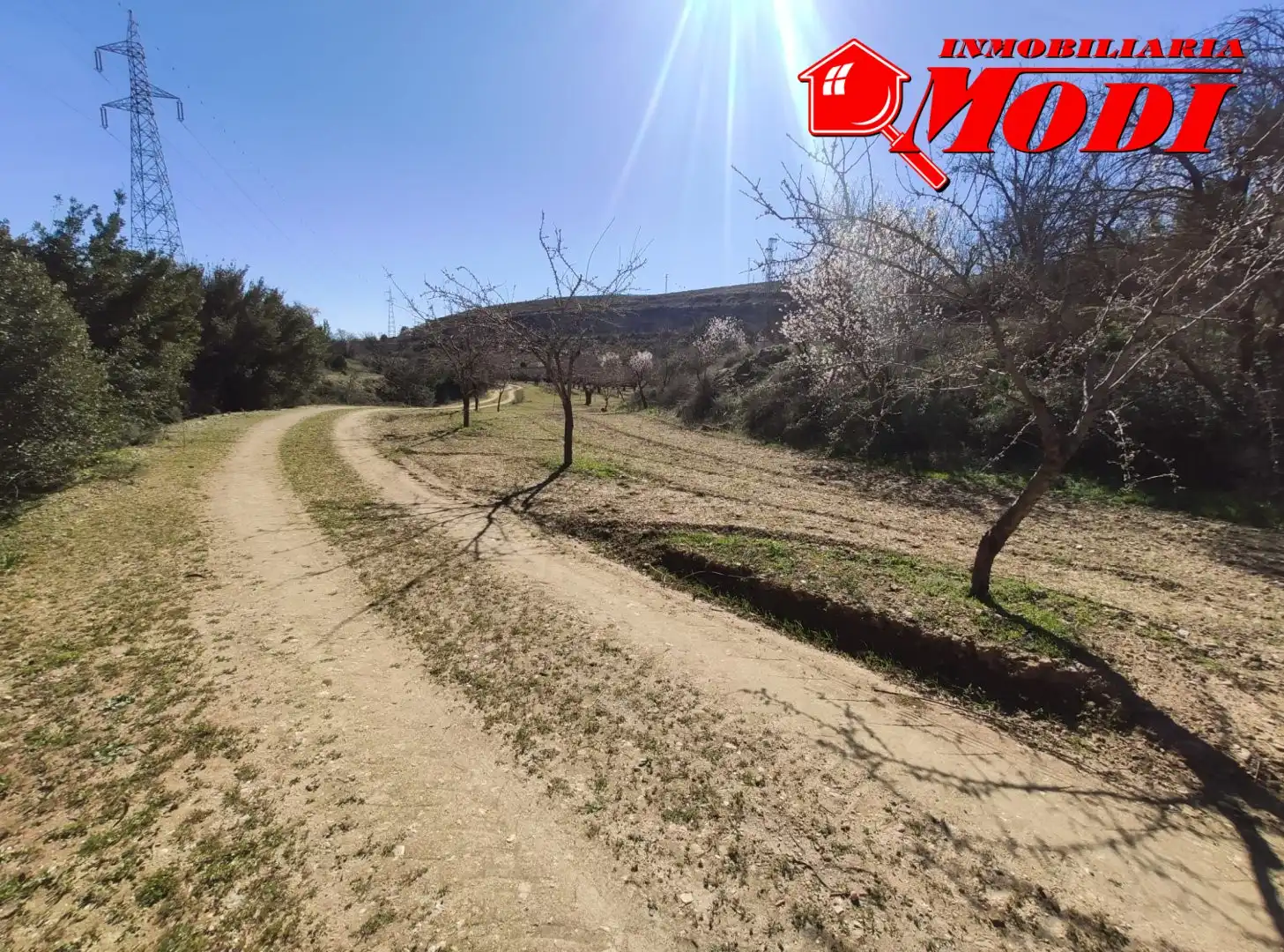 Terrenys i solars en venda a Villamena, imagen 13