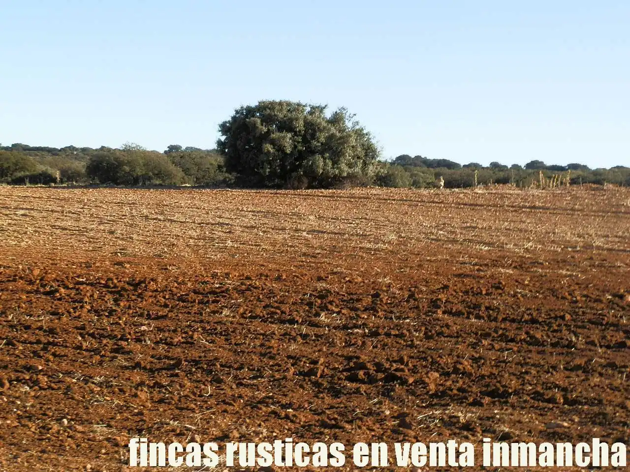 Terreni e lotti in vendita a Quintanar de la Orden, imagen 16