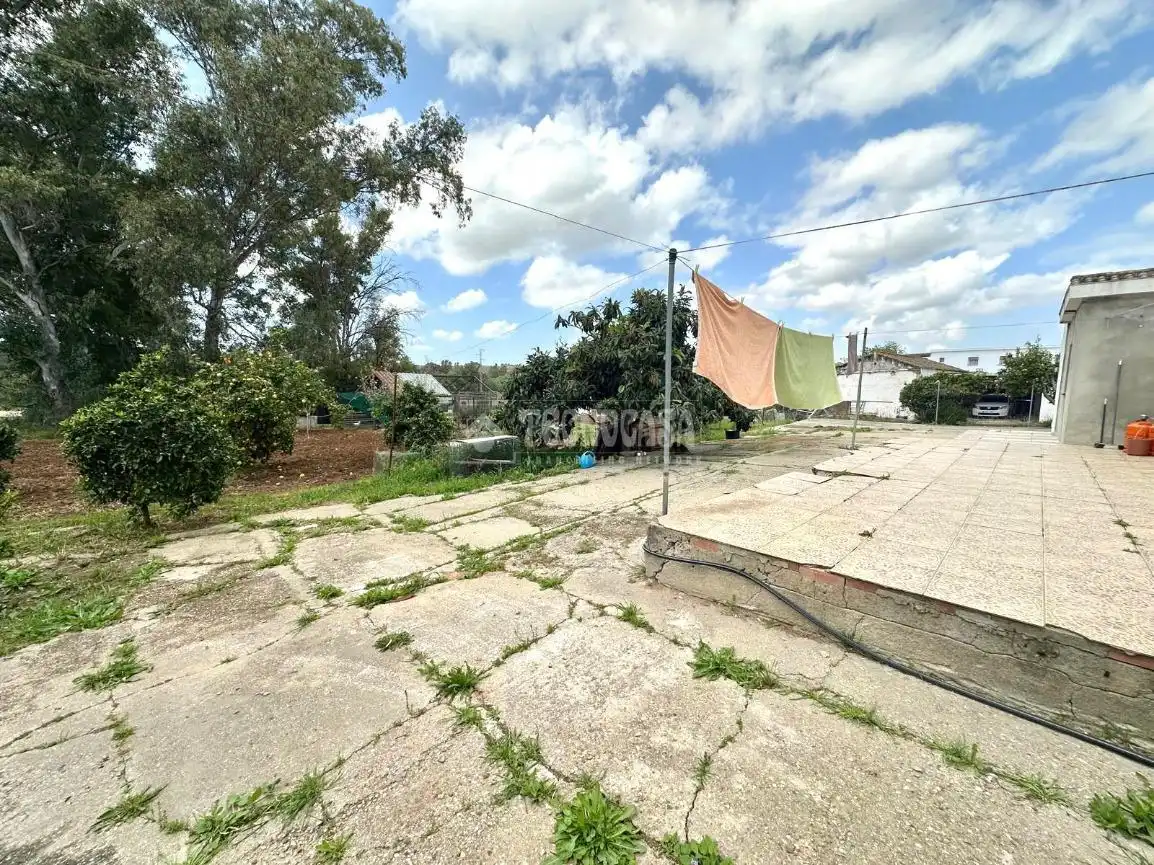 Haus mit Garten zum Verkauf in Centro, imagen 32