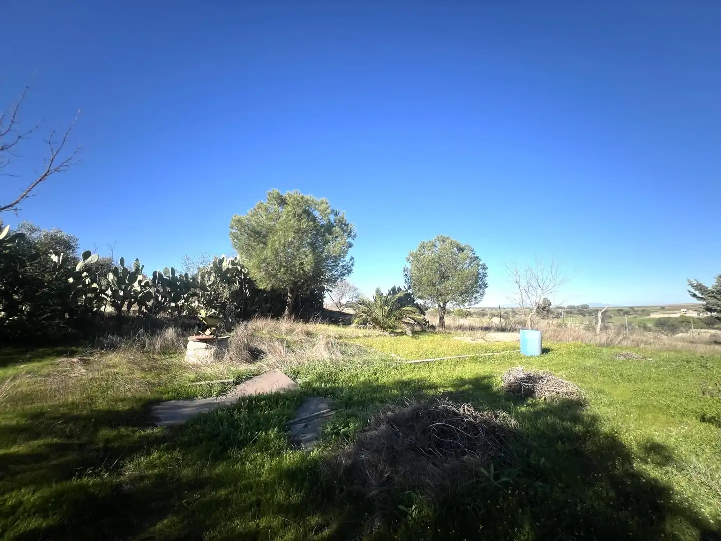 Chalet en venta en Camino Polígono 12 Parcela 105 PAJON. LA HABA (BADAJOZ), imagen 17
