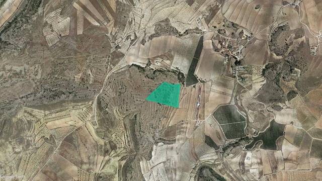 Terreno en Venta en  Torre Del Rico Parcela 315 Del Polígono 73, 315 en Jumilla