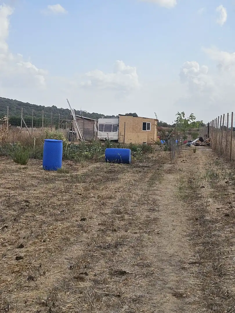 Rural land for sale in Sineu, imagen 9