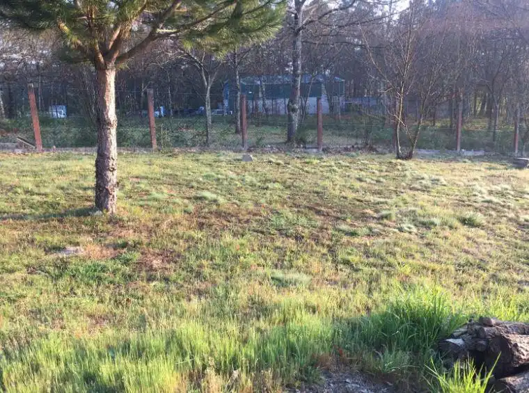 Lands and plots for sale in Couso, imagen 6