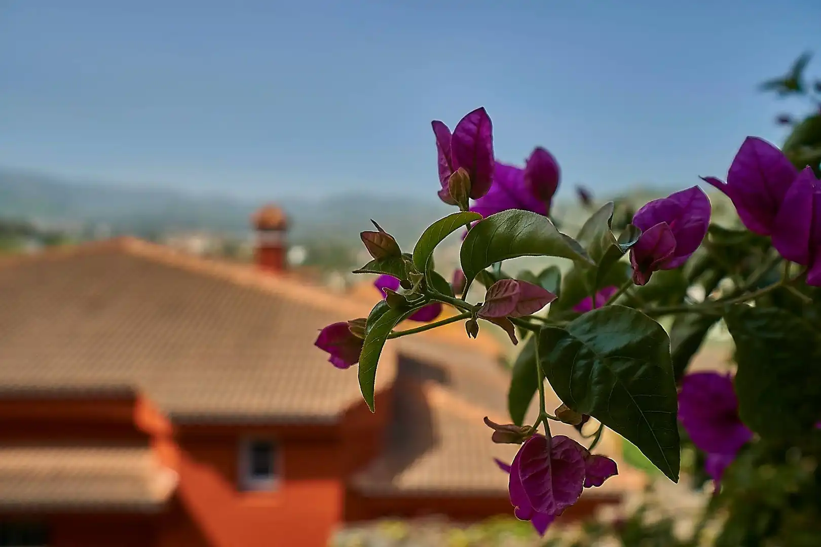 Terrassa de Casa o xalet en venda en Santa Brígida amb Jardí privat, Terrassa i Balcó