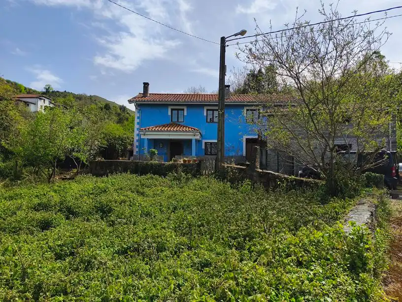 Vista exterior de Casa o chalet en venta en Salas con Amueblado