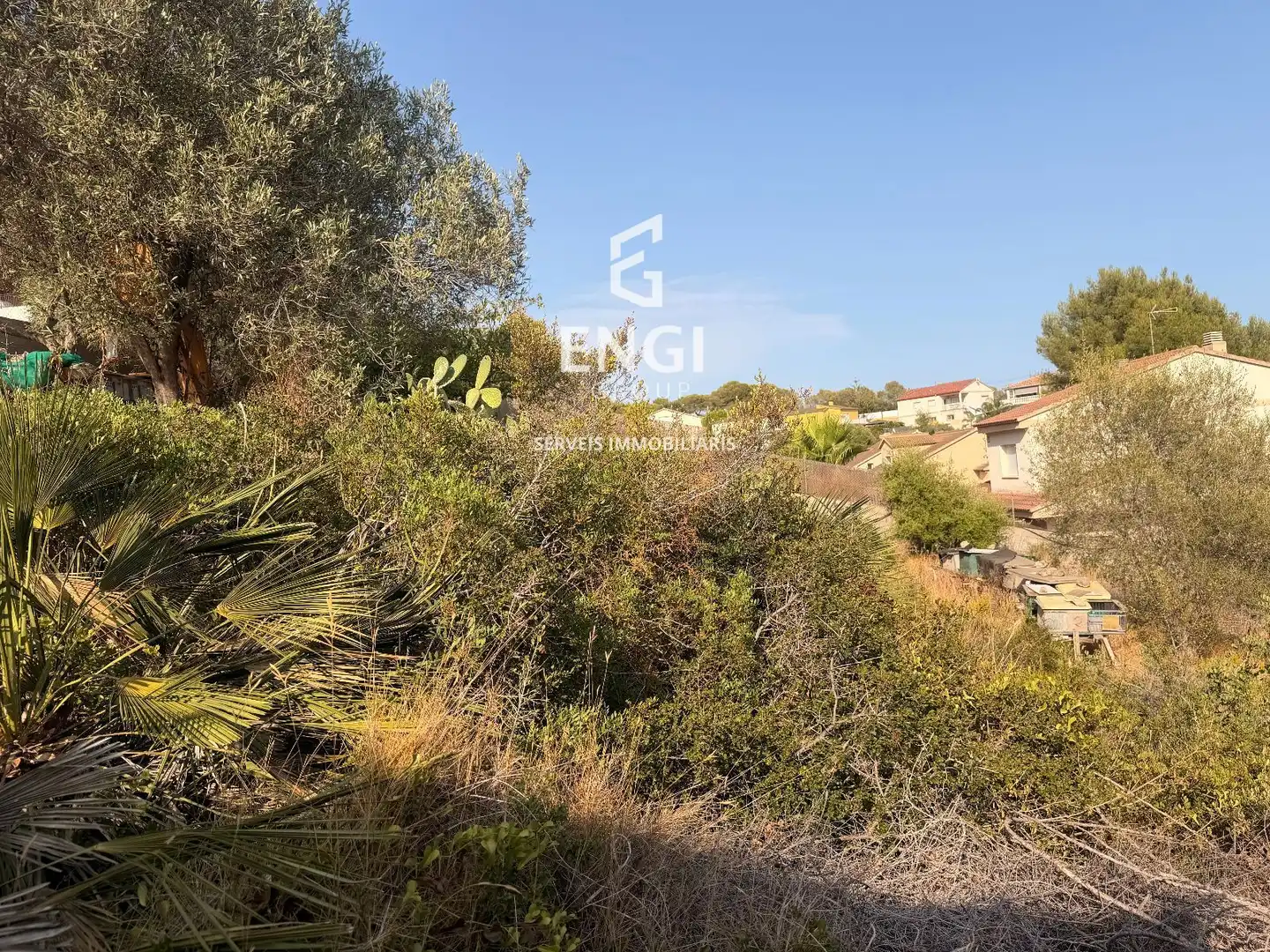 Terreno rustico in vendita a Nou Vendrell, imagen 7