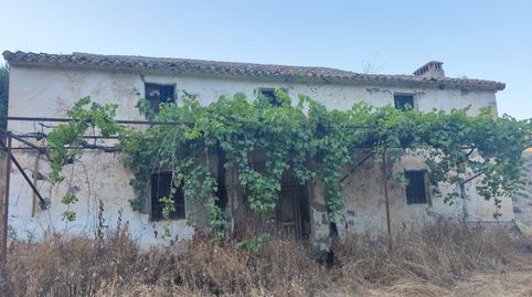 VENTA FINCA CON VIÑEDOS LOS LAGARES