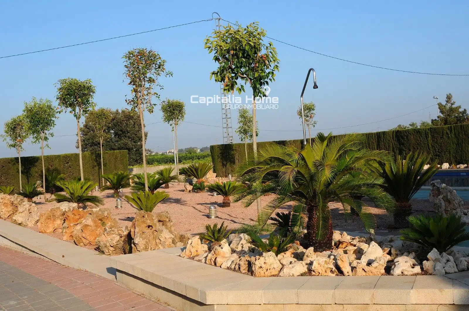 Jardín de Casa o chalet en venta en Orihuela