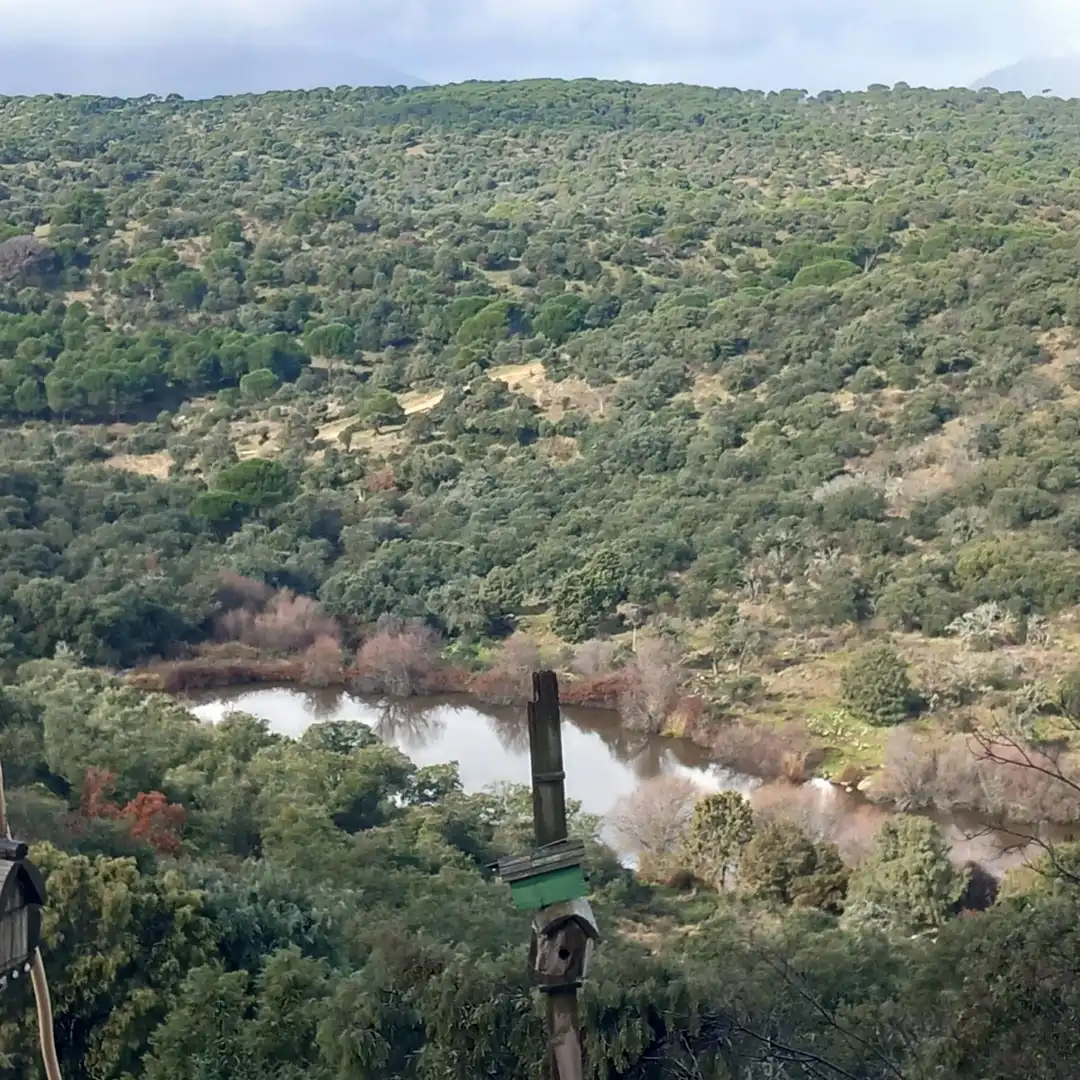 Terreni e lotti in vendita a El Álamo, imagen 12