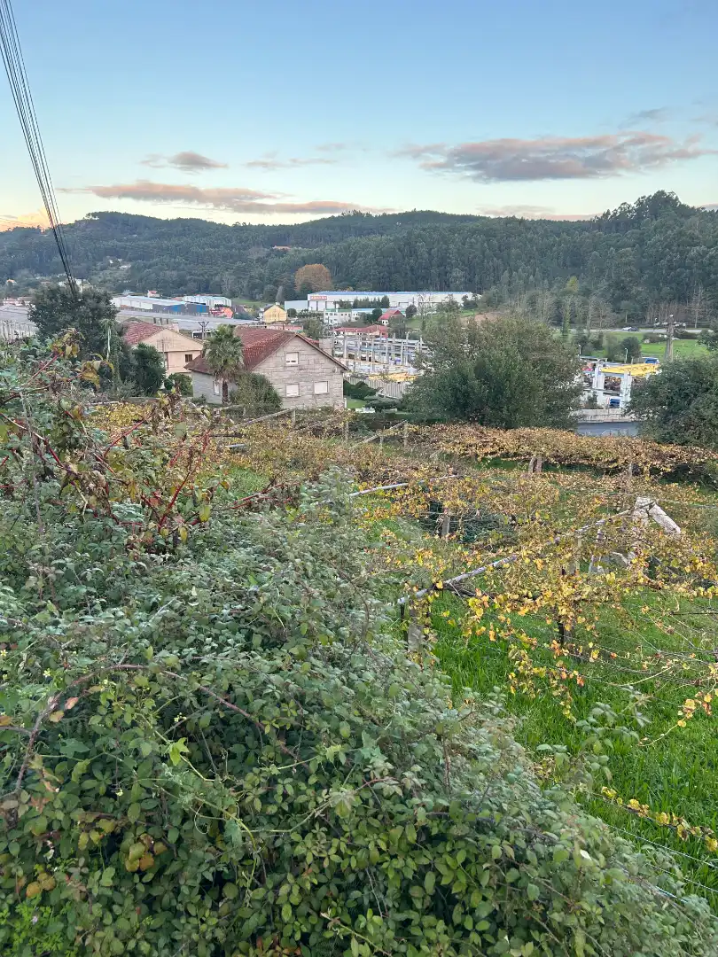 Terreni e lotti in vendita a Lugar Vilanoviña-Paradela, imagen 7