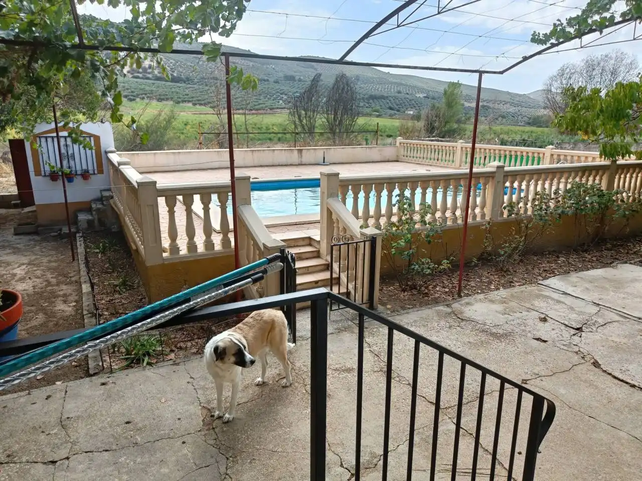 Außenansicht von Country house zum Verkauf in Montefrío mit Klimaanlage, Privatgarten und Terrasse