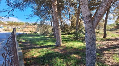 Parcella urbanitzable cantonera de 795 m2 a Sant Jaume Sesoliveres, imatge 4
