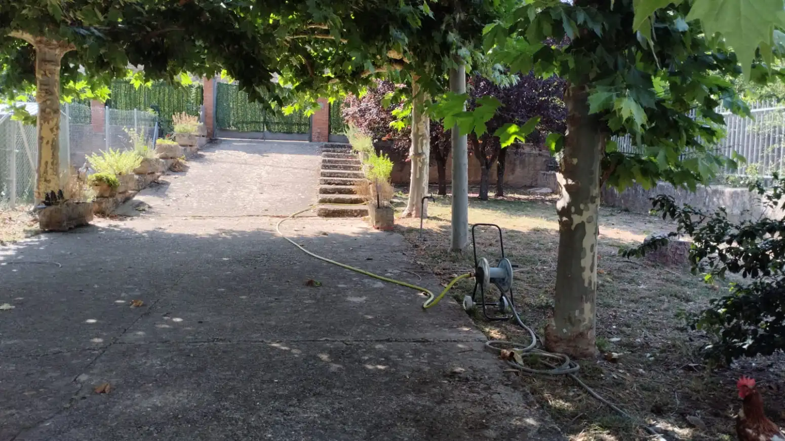 Jardín de Casa o chalet en venta en Pradillo con Calefacción, Jardín privado y Terraza