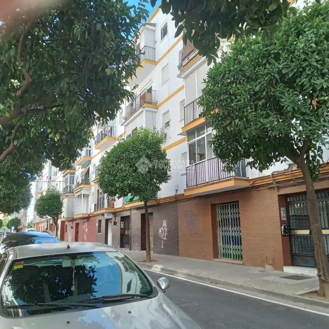 Exterior view of Flat for sale in Sevilla