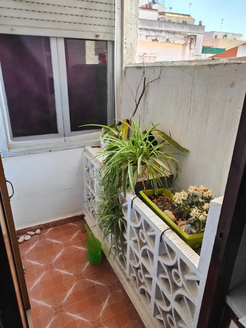 Terraza de Casa o chalet en venta en Sueca