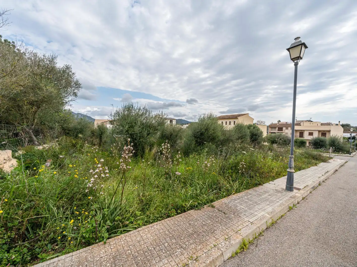 Rural land for sale in Sant Llorenç des Cardassar, imagen 5